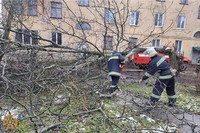 М. Жовті Води: рятувальники прибрали аварійне дерево