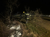 У Каховському районі рятувальники прибрали дерево, що впало на автодорогу