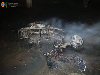 Миколаївська область: вогнеборці ліквідували пожежу мопеда