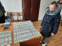 Поліцейські Прилуччини затримали підозрювану у крадіжці майже 400 тисяч гривень з оселі пенсіонерки
