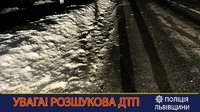 На Львівщині поліцейські розшукують водія, який скоїв смертельну ДТП та втік з місця події