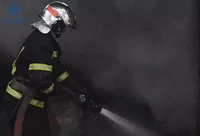 Чернівецька область: за минулу добу в області виникло 5 пожеж