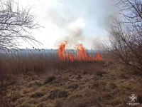 Миколаївська область: на пожежі загинула жінка