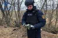 На Чернігівщині сапери ДСНС вилучили сучасний вибухонебезпечний предмет