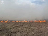 Миколаївська область: за минулу добу вогнеборці ліквідували шість пожеж на відкритих територіях
