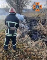 За добу на Кіровоградщини вогнем знищено 2,7 га родючої землі