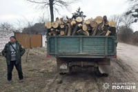 На Теофіпольщині поліцейські виявили чоловіка, який незаконно вирубував дерева