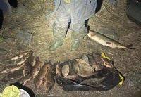Поліція Полтавщини виявила двох браконьєрів на Кам'янському водосховищі
