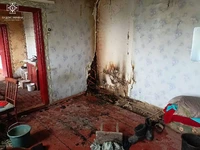 Житомирський район: під час гасіння пожежі в приватному житловому будинку врятовано дві людини
