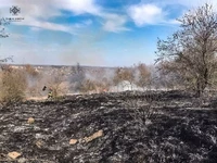 За добу рятувальники Черкащини ліквідували 8 пожеж сухої рослинності