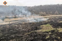 Кам’янський район: рятувальники загасили пожежу в екосистемі
