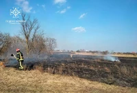 За минулу добу вогнеборці Сумщини шість разів ліквідовували загоряння сухої рослинності