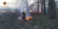 Кіровоградська область: за добу, що минула, ліквідовано 16 пожеж у екосистемі