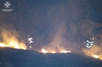 Чернівецька область: виникло 8 пожеж