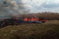 Вогнеборці Дніпропетровщини врятували зайченя від пожежі в екосиситемі