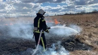 За минулу добу рятувальники Сумщини ліквідовували 9 пожеж в природних екосистемах одна з яких призвела до загибелі