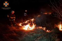 На Вінниччині ліквідовано 4 пожежі сухої рослинності
