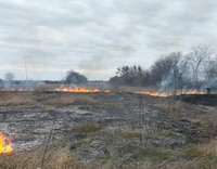 На Полтавщині поліцейський офіцер громади та сім’я військовослужбовця ліквідували пожежу сухостою