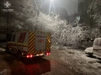 М. Чернівці: рятувальники розпилили та прибрали дерева, повалені внаслідок негоди