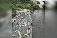 На Полтавщині водна поліція вилучила  з річки Сула заборонені знаряддя вилову риби
