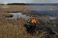 Київська область: ліквідовано загорання трав’яного настилу та очерету