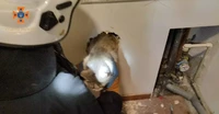 Знам’янські рятувальники дістали кота з вентиляційної шахти у багатоповерхівці