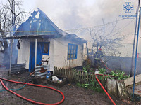 Бориспільський район: ліквідовано загорання літньої кухні та господарчої будівлі