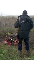 Поліція вилучила тіло мешканця Ізюмського району, який загинув внаслідок агресії російської федерації 