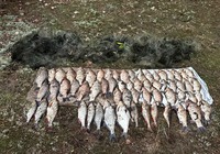 Улов на понад 100 тисяч гривень: Поліція Київщини задокументувала факт рибного браконьєрства