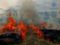 Вишгородський район: ліквідовано загорання сухої рослинності