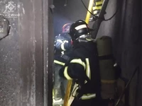 Чернівецька область: вогнеборці ліквідували 3 пожежі, на одній з них врятували життя 3 людям, в тому числі дитині