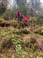 Рятувальники розшукали жінку в лісовому масиві