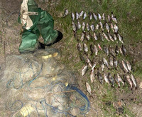 Поліцейські Полтавщини викрили два факти незаконного рибного промислу