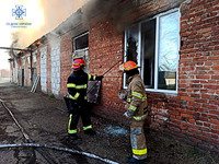 Київська область: ліквідовано пожежу в цеху по виготовленню пелетів