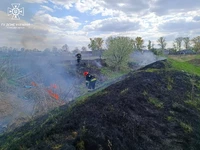 На Сумщині людська недбалість знову призвела до пожеж в екосистемах