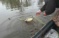 На водоймах Полтавщини тривають профілактичні рейди: поліція виявила браконьєра з незаконним уловом та вилучила з водойм близько 700 метрів заборонених знарядь лову