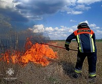 Броварський район: ліквідовано загорання трав’яного настилу