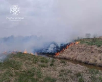 На Золочівщині вогняна стихія перетворила 2000 кв. м на пустку