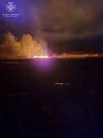 За минулу добу вогнеборці Житомирщини ліквідували 9 пожеж
