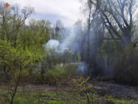 Київська область: рятувальники двічі залучалися до гасіння пожеж в екосистемах