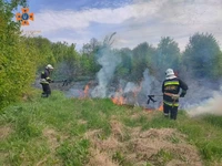 ІНФОРМАЦІЯ про пожежі, що виникли на Кіровоградщині протягом доби 7-8 травня