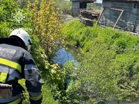 Червоноградський район: рятувальники дістали собаку із водойми