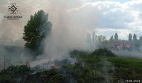Броварський район: ліквідовано загорання сухої рослинності