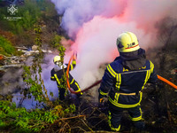 Бучанський район: рятувальники ліквідували пожежу сміття, що спровокувало сильне задимлення