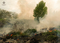 Броварський район: рятувальники ліквідували загорання трав'яного настилу