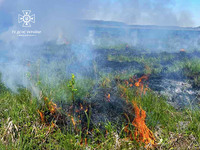 Протягом доби 14 травня рятувальники Львівщини ліквідували 8 пожеж сухої трави