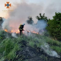 ІНФОРМАЦІЯ про пожежі, що виникли на Кіровоградщині протягом доби 16-17 травня