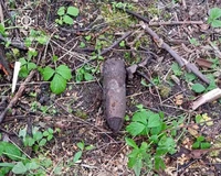 На Львівщині мало не що дня виявляють вибухонебезпечні предмети часів II Світової війни, які знищують піротехніки ДСНС України