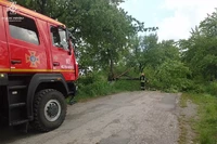 Дністровський район: рятувальники прибрали повалене дерево