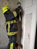 Кіровоградська область: рятувальники допомогли зняти кота з покрівлі будинку та дістали голуба з вентиляційного каналу